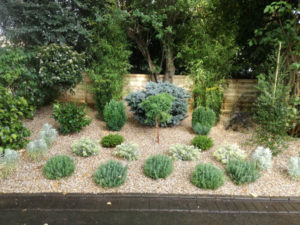 Plants-Leamington-Spa